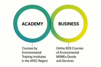 ESTEN MOOC - APEC국가 간 폅동교육과정, ESTEN ACADEMY - APEC교육기관 간 연계 고육과정, ESTEN BUSINESS 환경산업체 기술제품 B2B 교육과정
